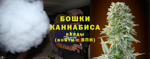 ГАЛЛЮЦИНОГЕННЫЕ ГРИБЫ Волосово