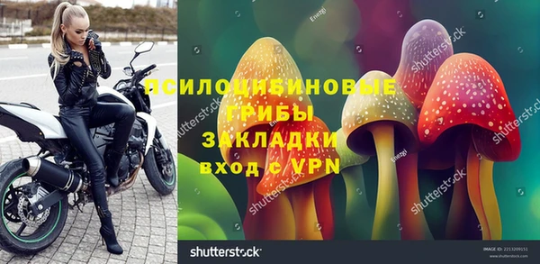 Альфа ПВП Вязники