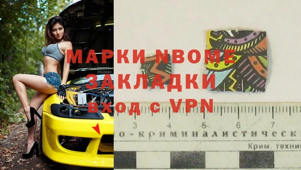 стаф Вяземский