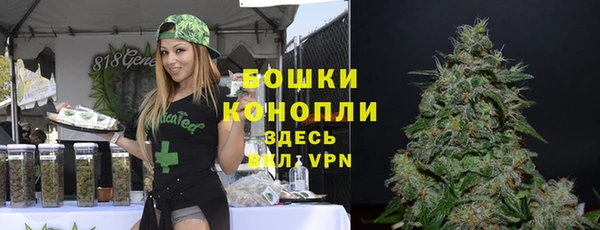 хмурый Вязьма