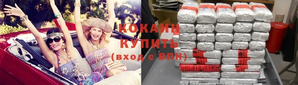стаф Вяземский