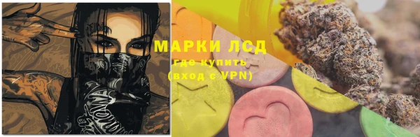 стаф Вяземский