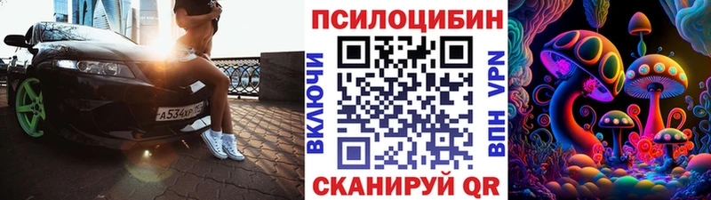 где купить наркотик  Шахты  Псилоцибиновые грибы MAGIC MUSHROOMS 